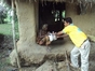 Providing food to the people affected by flood